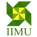 IIMU
